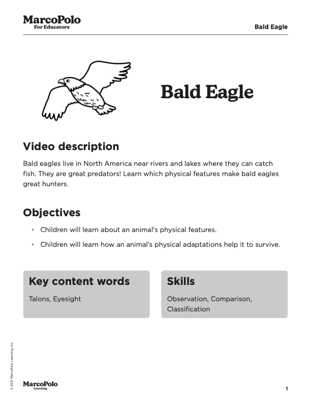 Sample Educator Guide